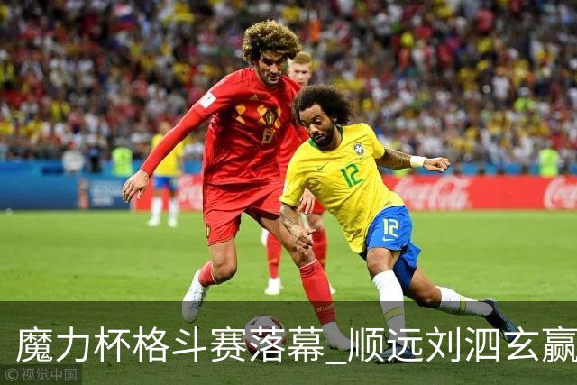 魔力杯格斗赛落幕 顺远刘泗玄赢下100公斤级